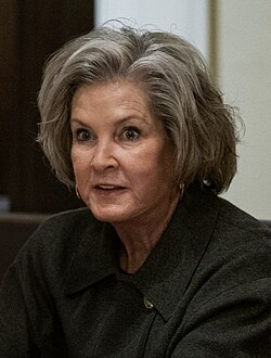 Susie Wiles